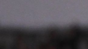 Los Bravos de Juarez son finalistas de la Copa MX tras vencer a los Pumas.