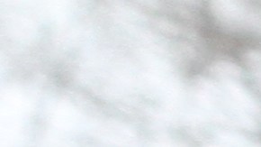 Hispanos en Brooklyn están preocupados por brote de sarampión