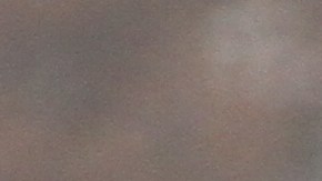 Alertan a los padres que supuestamente las vacunas portan "ADN de mono, rata y cerdo"