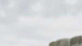 Rosie Rivera y Abel Flores