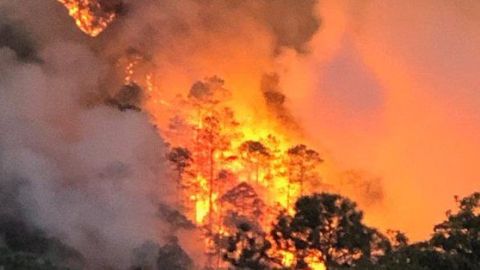Incendios forestales