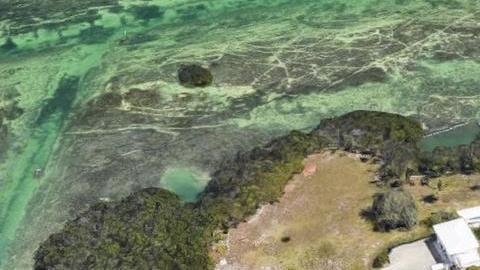 El hombre compró la sla Thompson, hasta entonces hogar de la familia Knight.