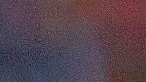 Chivas anunció oficialmente a su nuevo técnico