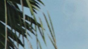 Cada vez más real. Así sentirás el efecto de esta nueva atracción.