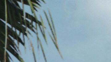 Cada vez más real. Así sentirás el efecto de esta nueva atracción.