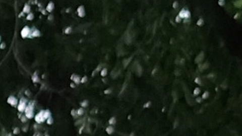 Justin Bieber se confesó en Instagram.