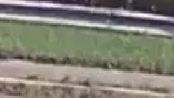 Karina Vetrano fue violada y asesinada en 2016.