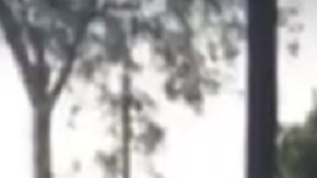 La llamada "Lady Frijoles" llegó a EEUU con dos niñas.