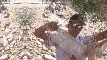 Arrojan al fuero al animal.