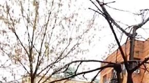 Más de dos docenas de LinkNYC han sido violentados en la ciudad