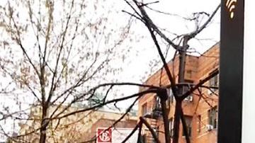 Más de dos docenas de LinkNYC han sido violentados en la ciudad