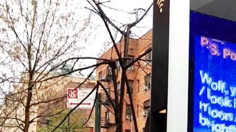 Más de dos docenas de LinkNYC han sido violentados en la ciudad