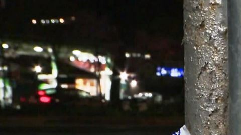 Madre acuchilló a sus dos hijos en El Bronx