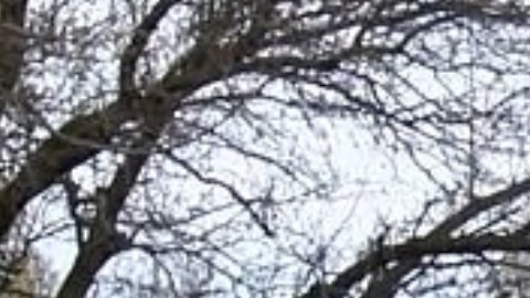 El establecimiento ubica en Lyons, Nueva York.