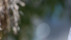 Al parecer, para ser millonario necesitas tener estas cualidades que comparten estos 600 exitosos.