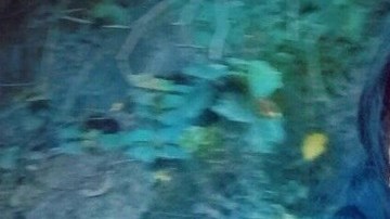 Myriam Paguay es una de las desaparecidas.