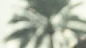 El español Fernando Alonso en "Formula 1: Drive to Survive (2019)"