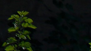 La mayoría de los casos en la Gran Manzana se han registrado con niños de la comunidad judía ortodoxa.