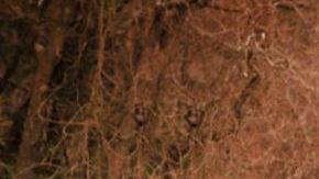 Autos que puedes comprar por menos de $15 mil dólares.