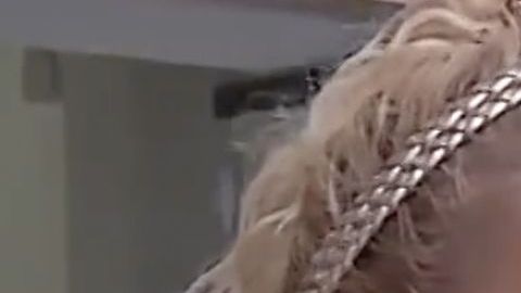 Niurka Marcos estalla contra Pablo Lyle