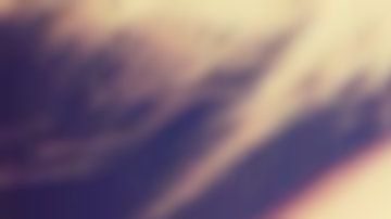 Laleh Shahravesh podría pasar 2 años en la cárcel y pagar una multa de unos $6,500 dólares.