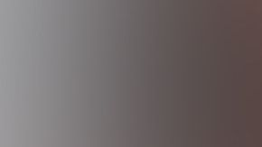 Pablo Lyle fue arrestado