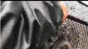 Momento de la liberación