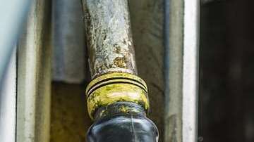 La congresista busca eliminar el uso de la gasolina después del año 2030