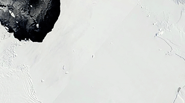 La animación del Glacial Pine Island muestra cómo disminuye.