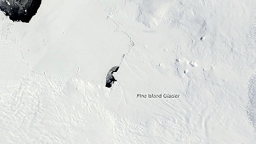La animación del Glacial Pine Island muestra cómo disminuye.