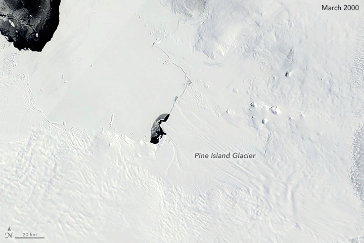 La animación del Glacial Pine Island muestra cómo disminuye.