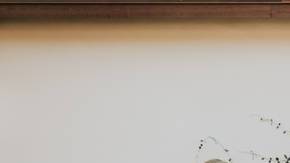 Foto de boda que resultó ser una broma de la novia al novio.