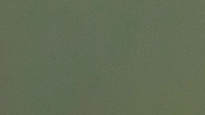 Un Rottweiler mató a una niña en Nevada.