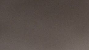 Una combinación de virus que pueden presentarse en los perros puede ser letal en las personas.