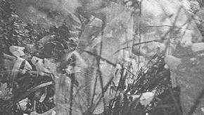 El misterio de las fotografías de las hadas de Cottingley duró casi un siglo.