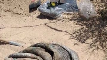 Reportan en Chihuahua narcofosas y ejecutados en plena Semana Santa