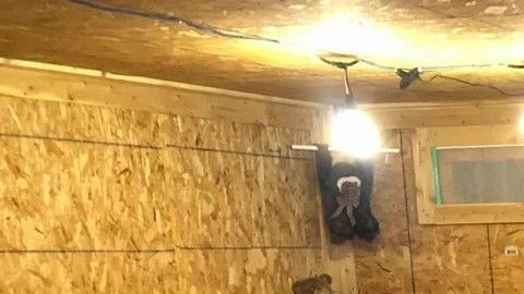 Su dueño no quería que nadie lo tocara