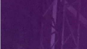 Rosalía actuando en México y reivindicando el aborto legal.