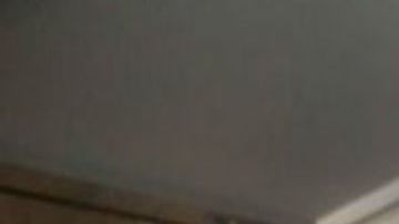 Sergio Hernndez Vega Enrique Pena Nieto