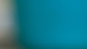 shutterstock_1025583055