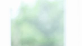 shutterstock_1150901036