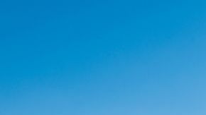 shutterstock_1223558572