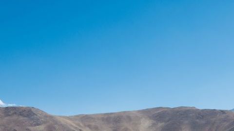 shutterstock_1223558572