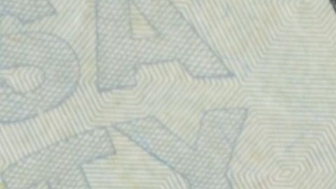Seguro Social pagos