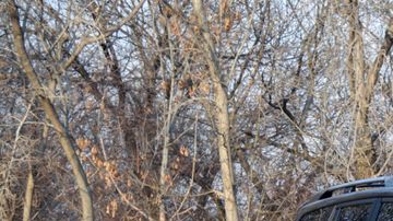 shutterstock_1282497016