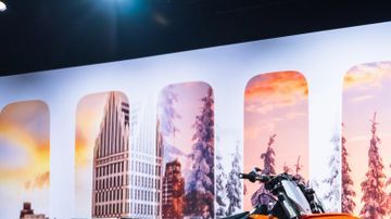 shutterstock_1288157572