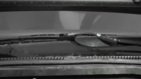 shutterstock_1317292769