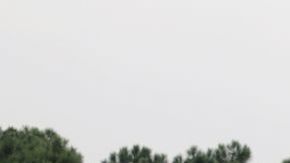 Clase A Compacto Mercedes Benz