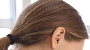 shutterstock_1351229042