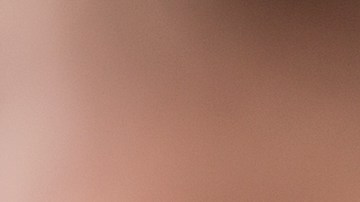 shutterstock_323832779